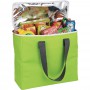 Cooler Bags - Arctic Zone® 30-Can Foldable Freezer Tote