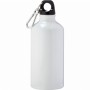 Outdoor Umbrellas - Lil Shorty 500ml Aluminum Sports Bottle
