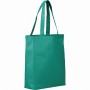 Non Woven Bags - Eros Non-Woven Tote