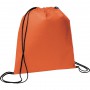 Duffle Bags & Sacks - Evergreen Non-Woven Drawstring Sportpack