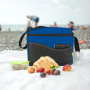 Non-Woven Lunch Cooler