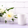 Coffee Mugs - Ceramic Mug 325ml in Folded Box