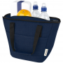 Darani GRS Recycled Canvas Cooler Tote