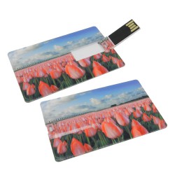 Flash Drives - Superslim Credit Card USB - 8GB - Locally Stocked
