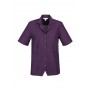 Ladies Corporate Shirts - Ladies Plain Oasis Overblouse Shirt