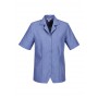 Ladies Corporate Shirts - Ladies Plain Oasis Overblouse Shirt