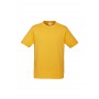 Men's Promotional T Shirts - Mens Ice T-Shirt