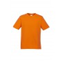 Men's Promotional T Shirts - Mens Ice T-Shirt