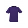 Men's Promotional T Shirts - Mens Ice T-Shirt