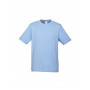Men's Promotional T Shirts - Mens Ice T-Shirt