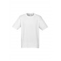 Mens Ice T-Shirt