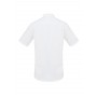 Men's Corporate Shirts - Mens Regent S/S Shirt