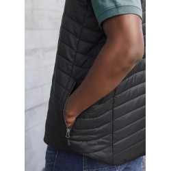 Mens Expedition Vest