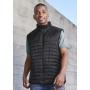 Mens Expedition Vest