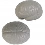 Stress Shapes - Brain Stress Reliever