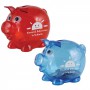 Money Boxes - Worlds Smallest Pig Coin Bank