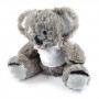Teddy Bears - Korporate Koala