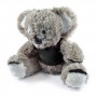 Teddy Bears - Korporate Koala