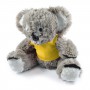 Teddy Bears - Korporate Koala