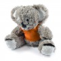 Teddy Bears - Korporate Koala