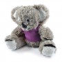 Teddy Bears - Korporate Koala