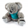 Teddy Bears - Korporate Koala