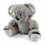 Teddy Bears - Korporate Koala