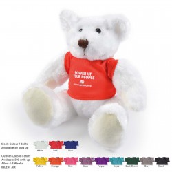 Teddy Bears - Frosty Plush Teddy Bear