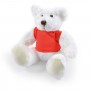 Teddy Bears - Frosty Plush Teddy Bear