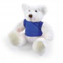 Frosty Plush Teddy Bear