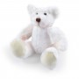 Teddy Bears - Frosty Plush Teddy Bear