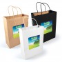 Paper Bags - Express Paper Bag Large