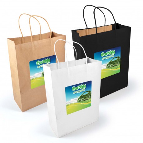 Paper Bags - Express Paper Bag Large