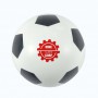 Exercise Sets - Hi Bounce Soccer Ball