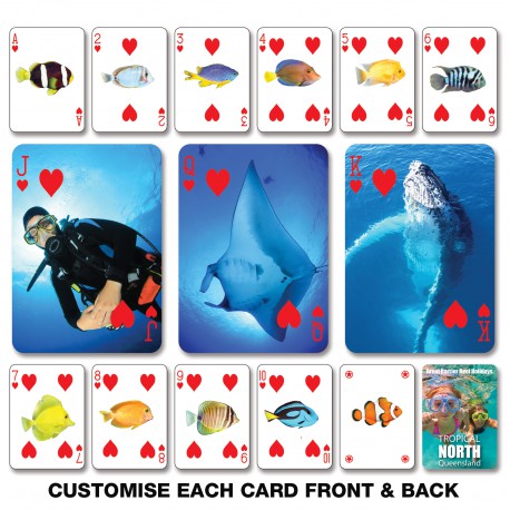 Executive Toys - Snap Playing Cards
