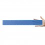 Rulers - Transparent 30cm Ruler