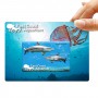Wired & Bluetooth Headphones - Credit Card Flash Drive