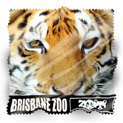 Phone Accessories - Zig Zag Economy Microfibre Lens Cloth