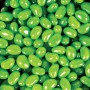 Promotional Jelly Beans - Corporate Colour Mini Jelly Beans