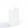 Paper Bags - Express Paper Bag Small