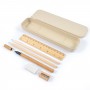 Corporate Stationary - Element Stationery Set
