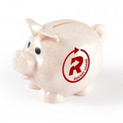 Money Boxes - Worlds Smallest Pig Eco Coin Bank