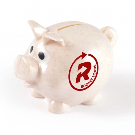 Money Boxes - Worlds Smallest Pig Eco Coin Bank