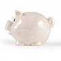 Money Boxes - Worlds Smallest Pig Eco Coin Bank