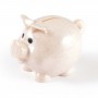 Money Boxes - Worlds Smallest Pig Eco Coin Bank