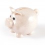 Worlds Smallest Pig Eco Coin Bank