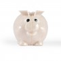 Worlds Smallest Pig Eco Coin Bank