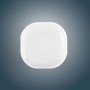 Sunscreen & Lip Balm - Cube Lip Balm