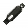 Wired & Bluetooth Headphones - Venus Flash Drive 4GB - 32GB