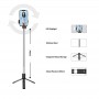 Reunion LED Selfie Stand (96)